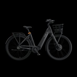 Ecoride Ambassador 4 