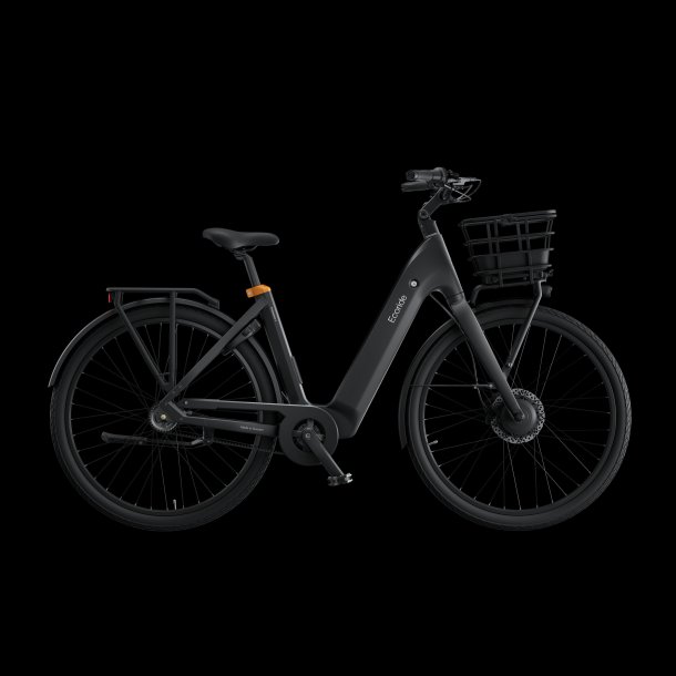 Ecoride Ambassador 4 