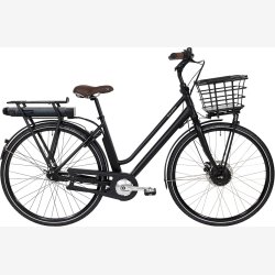 Raleigh Sussex E1 Dame