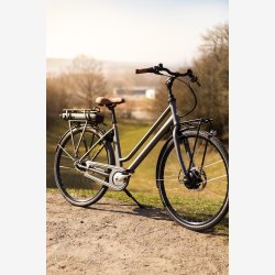 Raleigh Sussex E1 Dame