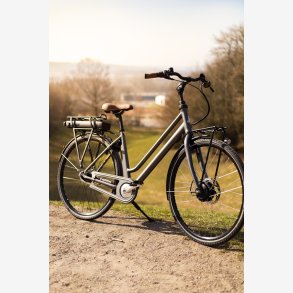 Raleigh Sussex E1 Dame