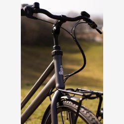 Raleigh Sussex E1 Dame